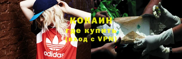 прущие грибы Володарск