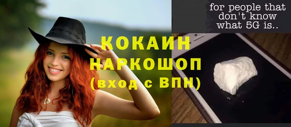 мдпв Вяземский