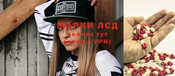 мдпв Вяземский