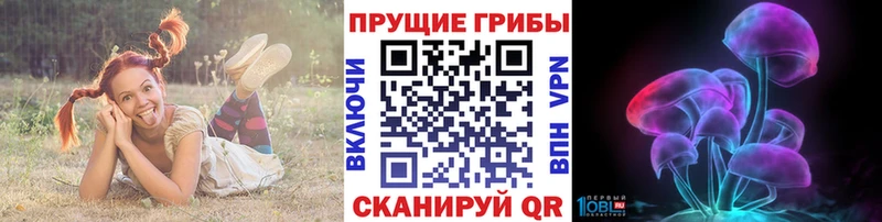 Псилоцибиновые грибы мицелий цены наркотик Ейск